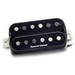 Seymour Duncan Stag Mag